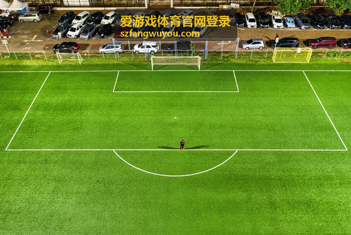爱游戏体育官网登录入口地址与页面状态核对示意