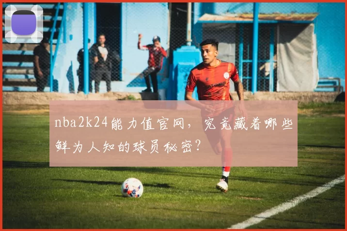 nba2k24能力值官网，究竟藏着哪些鲜为人知的球员秘密？
