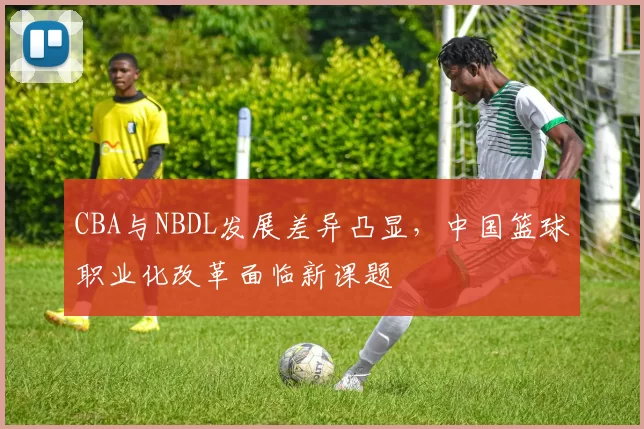 CBA与NBDL发展差异凸显，中国篮球职业化改革面临新课题