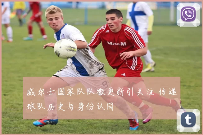 威尔士国家队队徽更新引关注 传递球队历史与身份认同