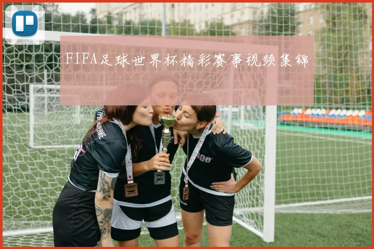 FIFA足球世界杯精彩赛事视频集锦