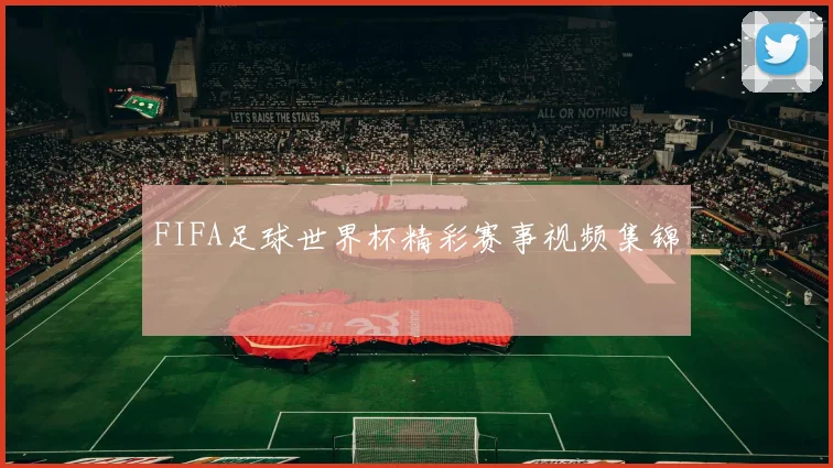 FIFA足球世界杯精彩赛事视频集锦
